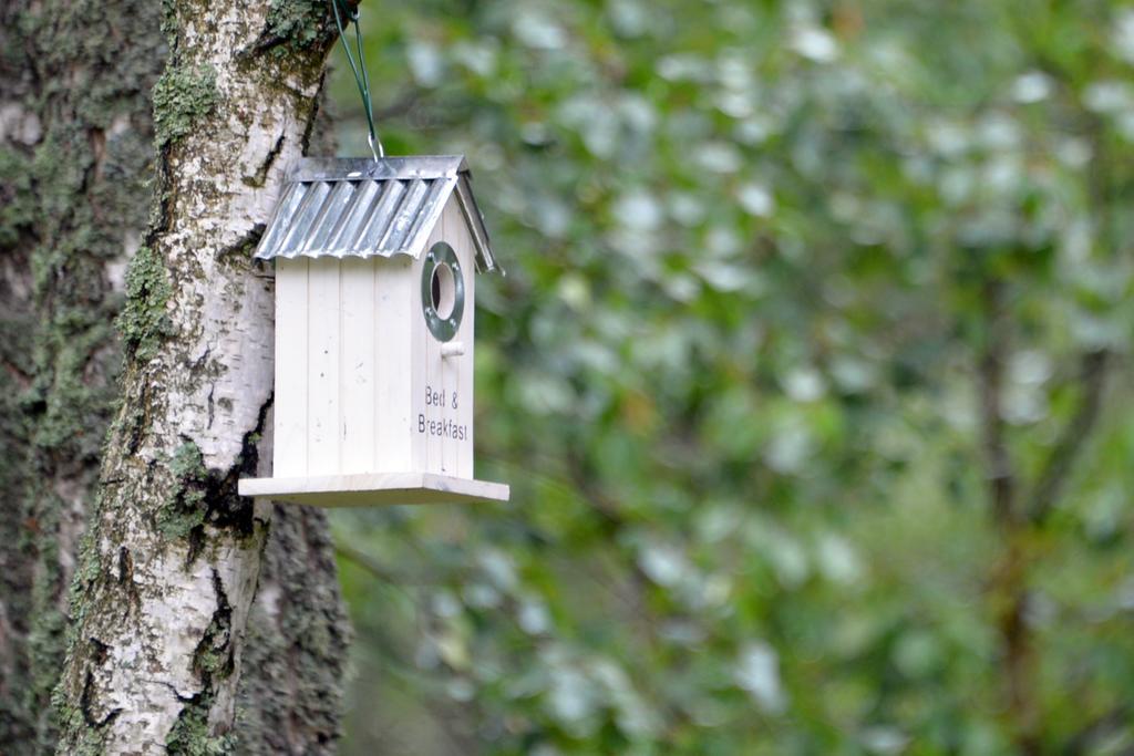 Apartamento Karkse Pervalka Exterior foto